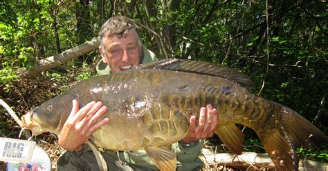 carp fish|CAG Big 4 Competition .